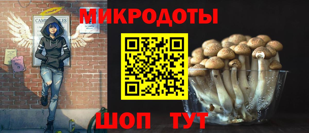 Галлюциногенные грибы Psilocybe  Галлюциногенные грибы Psilocybe  Вход с VPN  Чернушка 